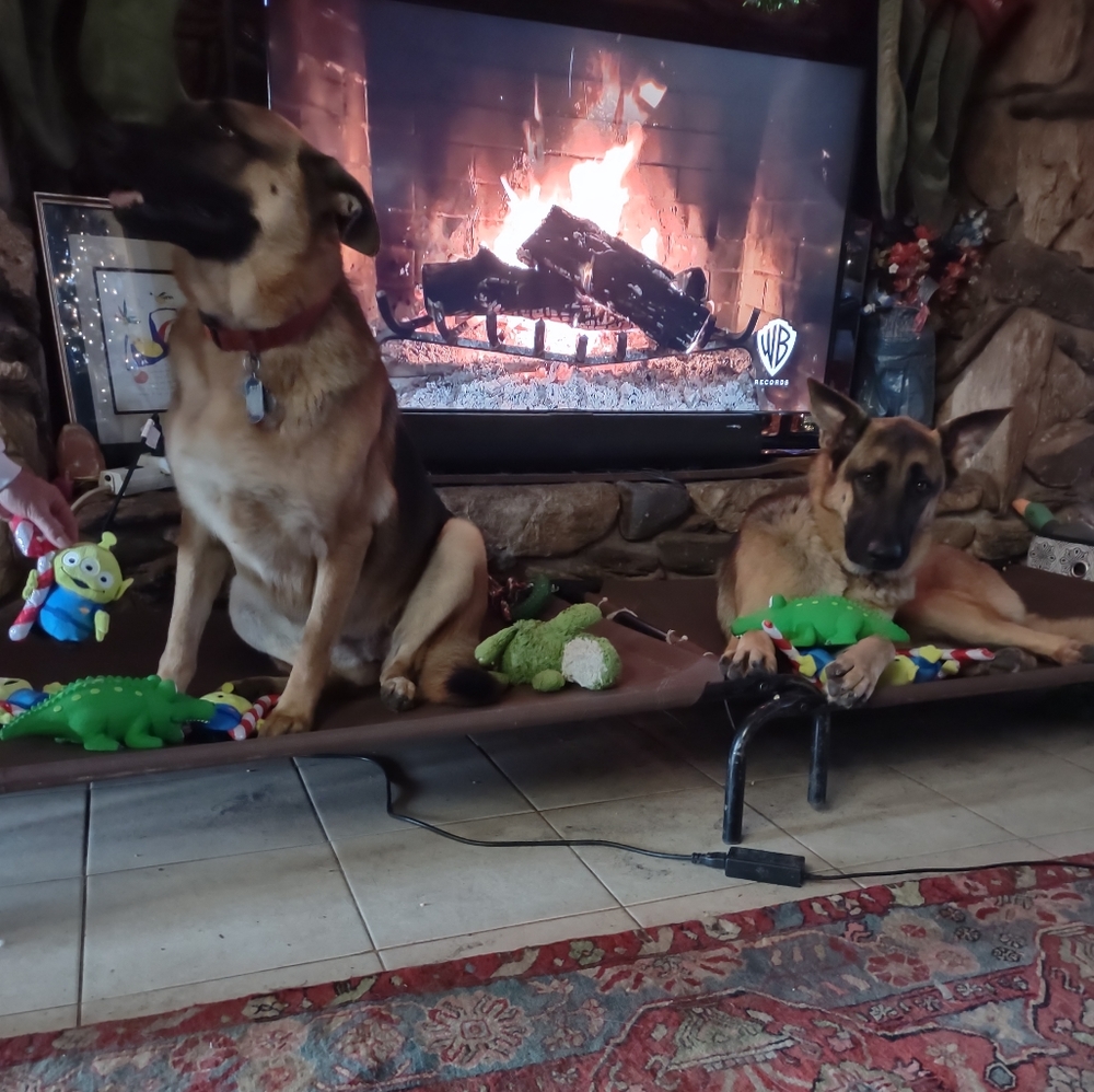 Merry Christmas Everyone